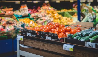 Open Russian Business for Selling Food,Beverages and Tobacco